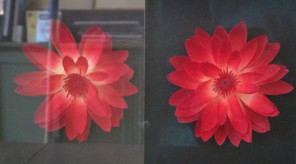 Two images showing an image of a flower behind reflective and reflection free glass
