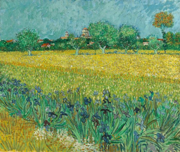 painting of blue iris in a yellow field